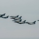 Image for article titled Super Étendard Attack Jets Make Their Last Carrier Catapult Launches Ever